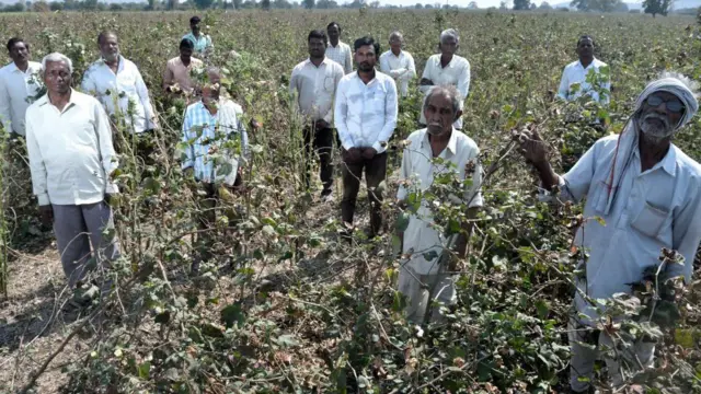 मराठवाड्यातला शेतकरी प्रातिनिधिक फोटो 