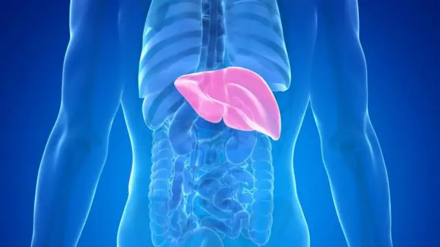 హెపటైటిస్ 