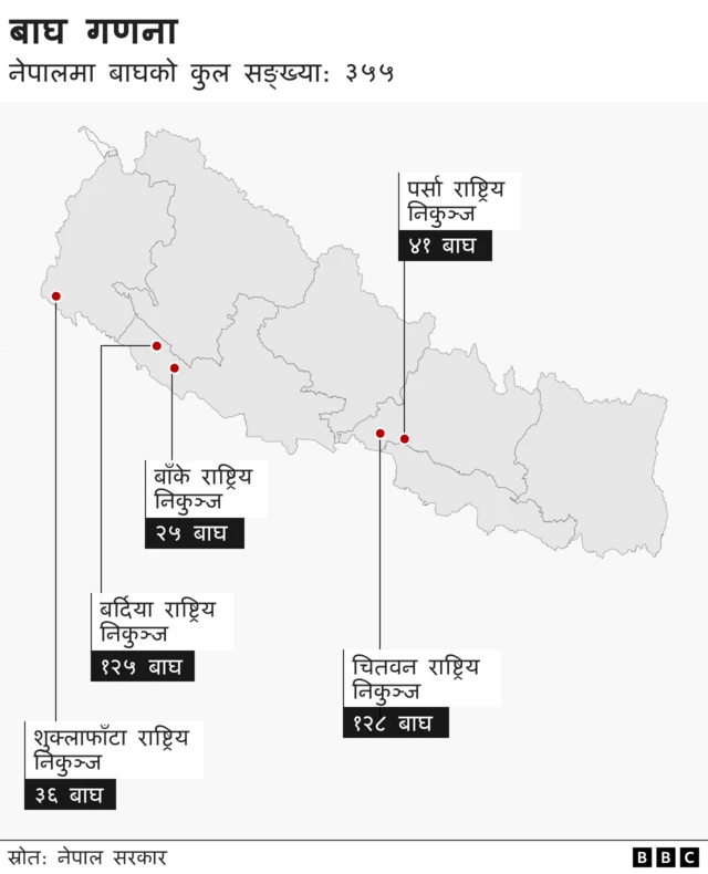 बाघ गणना