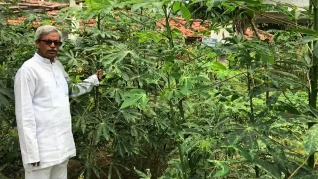 సేంద్రీయ వ్యవసాయంపై గిరిజనులకు అవగాహన కల్పించారు పారినాయుడు