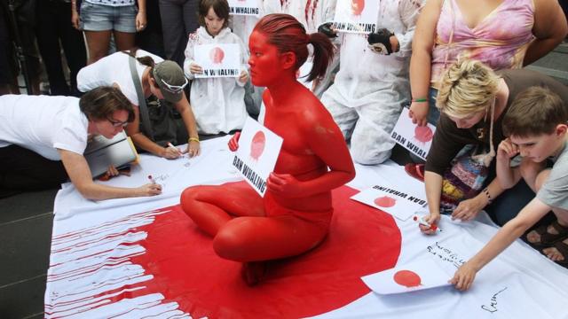 A protester sits on a Japanese flag cove