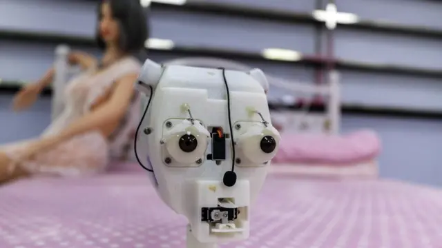 Ученые не нашли никаких исследований о влиянии секс-роботов на здоровье