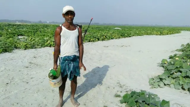 Hayvonlar porno onlayn video