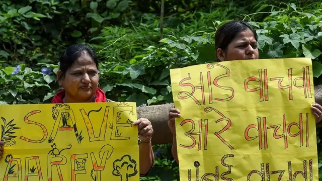 மரங்களைக் காக்க பா.ஜ.க அரசுக்கு எதிராகக் களமிறங்கிய மக்கள்: தீவிரமடையும் போராட்டம்