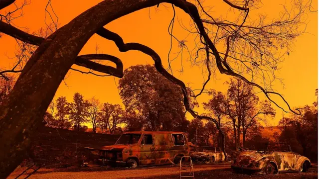 Cảnh xe hơi cháy trụi ở thị trấn Redding, California hôm 27/7.