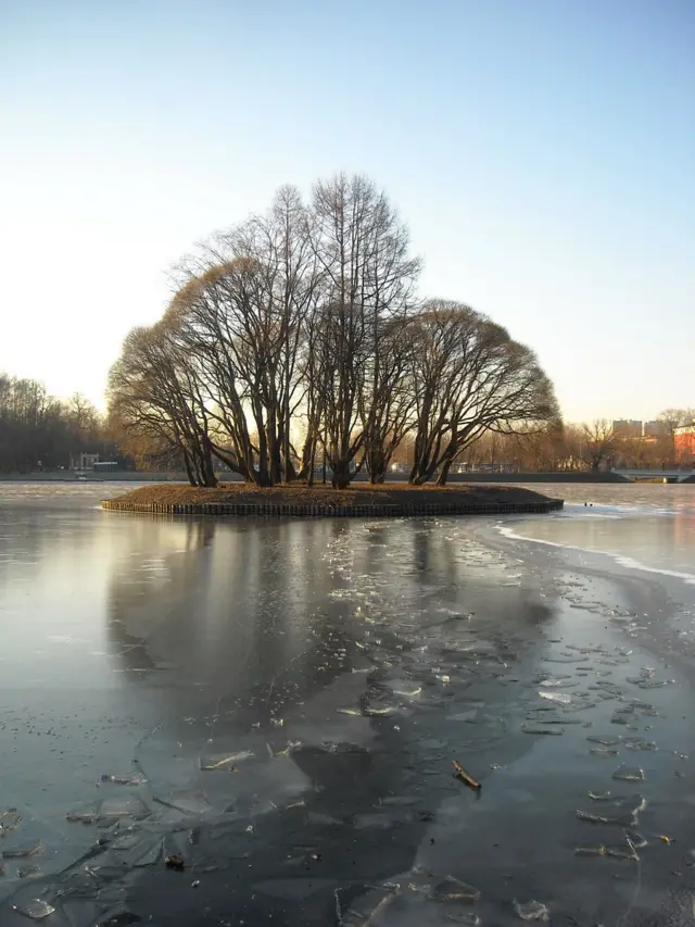 "Сады и парки"