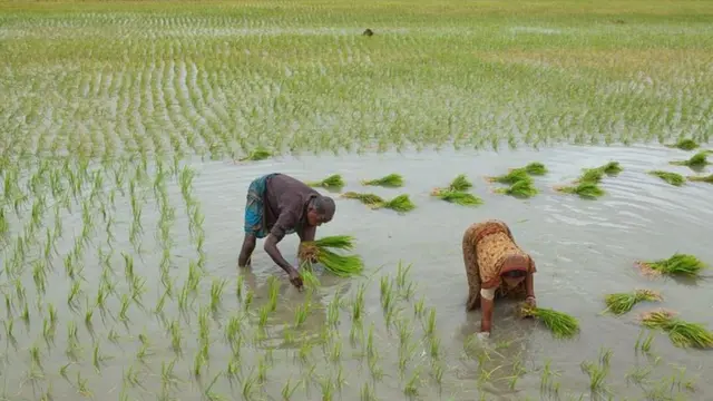 बांग्लादेश