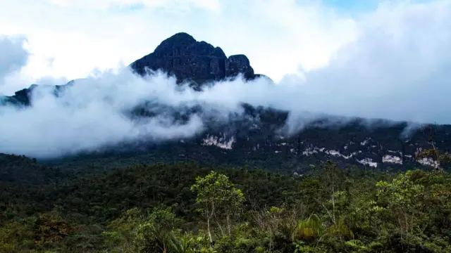 Pico da Neblina