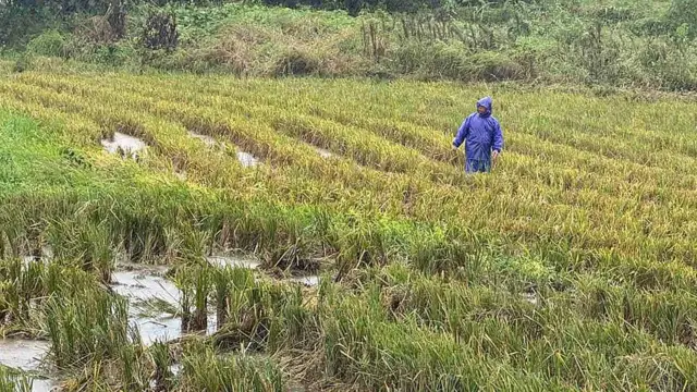 ఫిలిప్పీన్స్‌లో తుపాను, రాగస