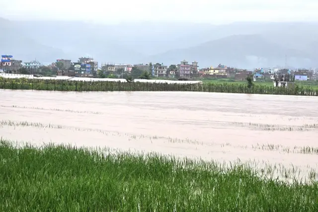 सुर्खेतमा डुबान