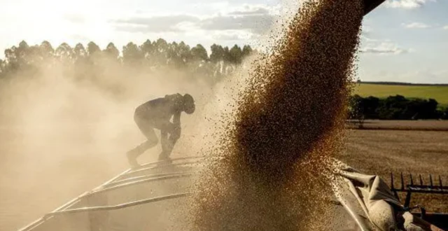 Imagem mostrando carregamento de soja descarregado em caminhão com a luz do sol fazendo o contraluz