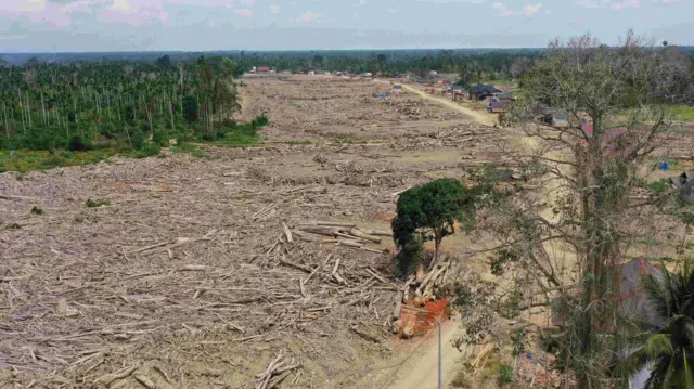 Lautan kayu di Desa Geudumbak yang berserakan di sungai mati, mengambarkan betapa dahsyat bencana itu menghantam enam bulan lalu.