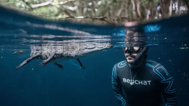 Mergulhador perto de crocodito em cenote