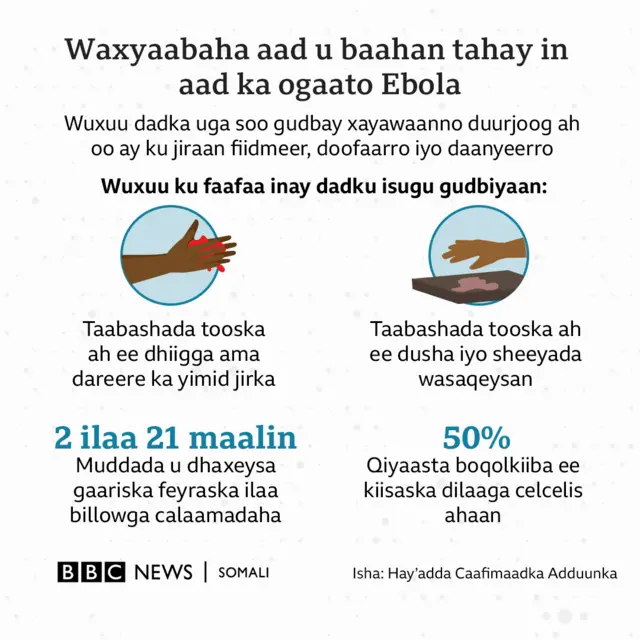 Xog ku saabsan Ebola