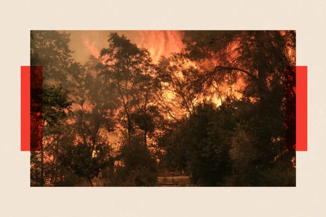 Des flammes s'élèvent d'un feu de forêt à Nea Penteli, en Grèce.