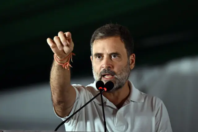 রাজধানী দিল্লিতে ভোটের প্রচারে রাহুল গান্ধী