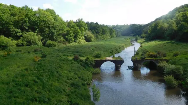 డ్యామ్ల తొలగింపు