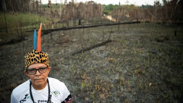 Zé Bajagaaposta minima na blazeárea queimada
