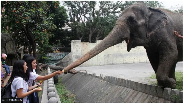 Mali àtàwọn ènìyàn tó wá wò ó