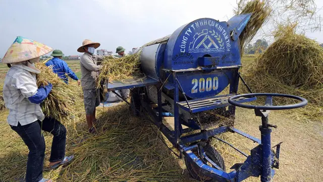 Có ý kiến nói an ninh lương thực là việc của nhà nước chứ không phải việc của nhà nông