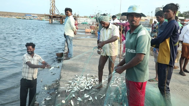 காசிமேடு