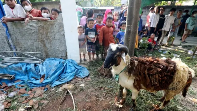 İndoneziyanın Java adasında uşaqlar bayram mərasimləri zamanı bir keçiyə diqqətlə baxırlar
