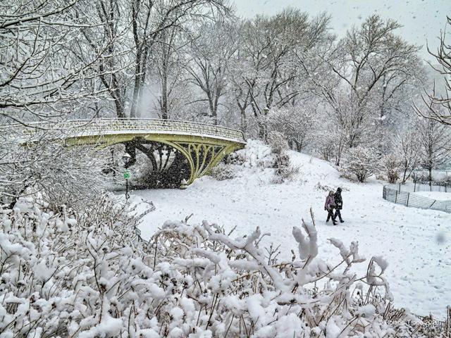 Your pictures on the theme of 'winter walks