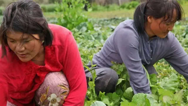 भूटान की महिला किसान