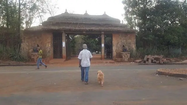 ኣሶሳ ማንጎ ሎጅ