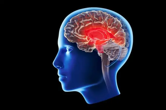 प्रातिनिधिक फोटो