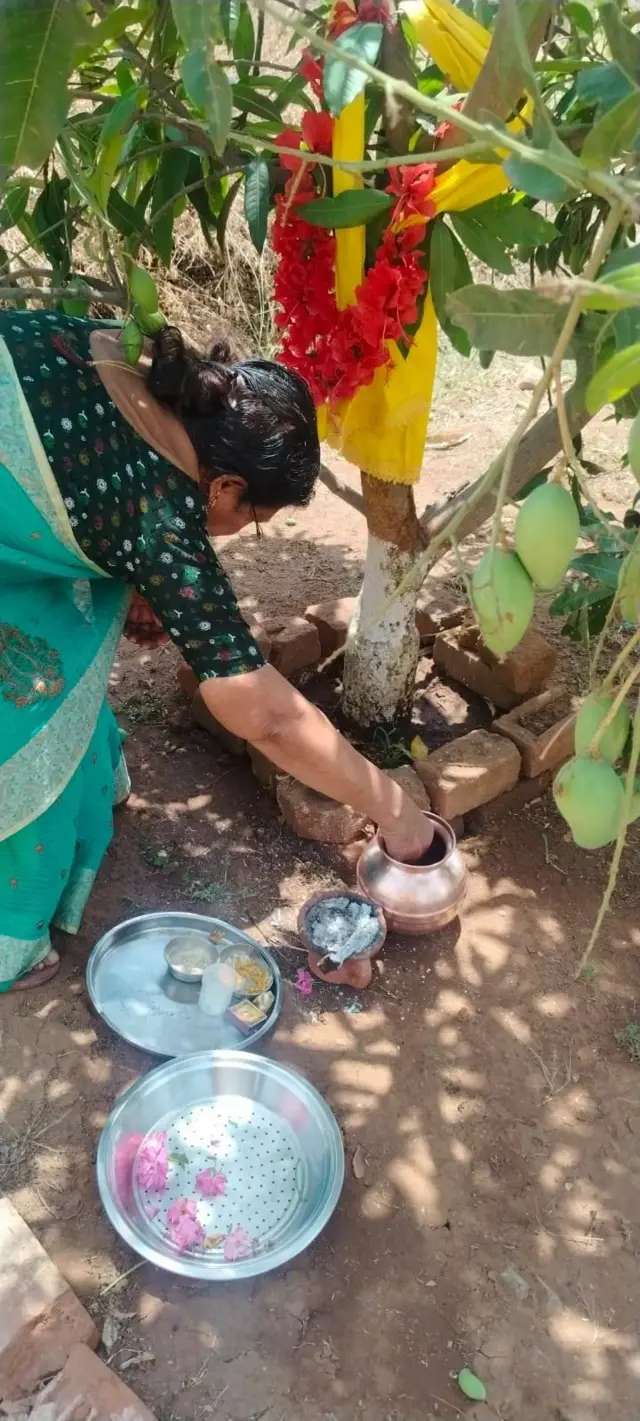 आंब्याच्या झाडाची पूजा करून परवानगी घेताना