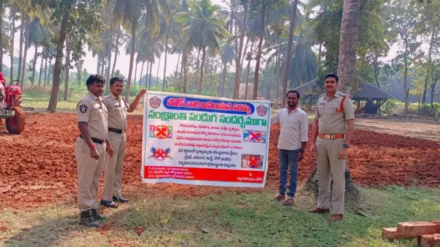 కోడి పందాలు