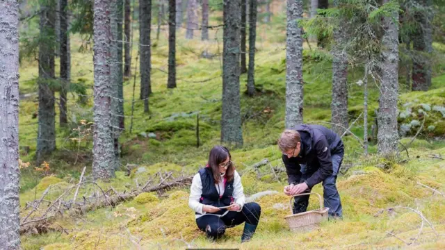 Dos personas en un bosque.