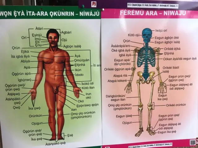 Awọn ẹya ara ọkunrin niwaju ati feremu ara