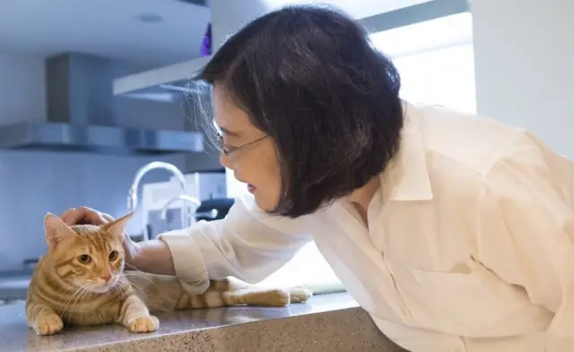 Tsai Ing-wen, presidenteTaiwan, e seu gato Ah Tsai