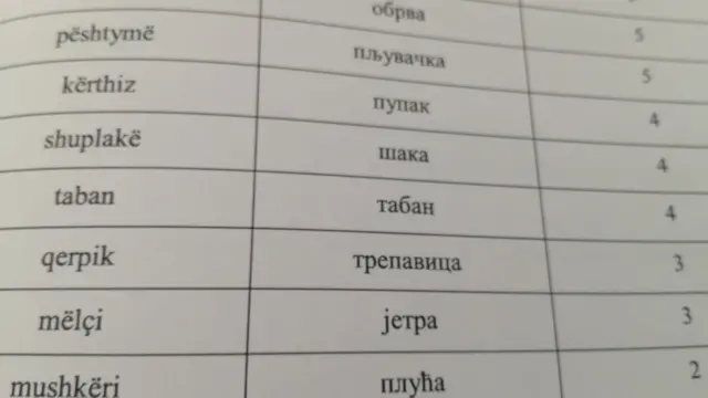 srpsko-albanski rečnik