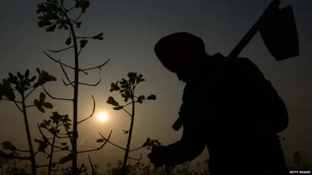 Farmer Punjab