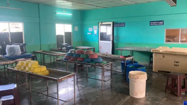 யாழ்ப்பாணம் - மீன் பிடித் தொழில்