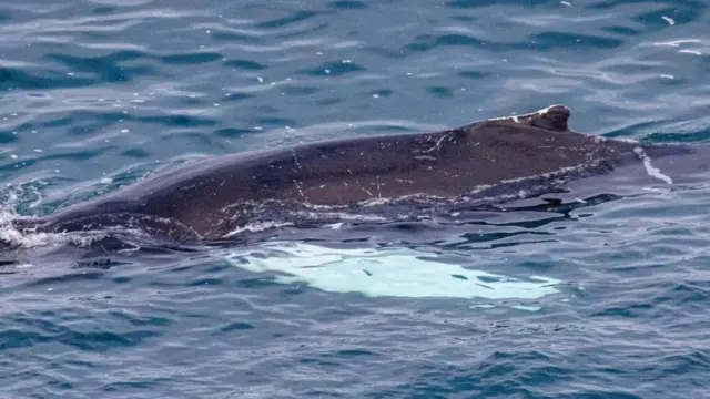 प्रातिनिधिक फोटो