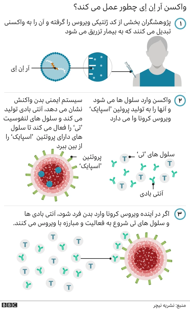 واکسن آر ان ای
