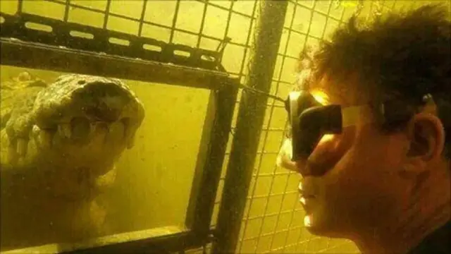 મગરમચ્છ, પશુઅધિકાર, એડમ બ્રિટન, યૌનહિંસા, બીબીસી ગુજરાતી