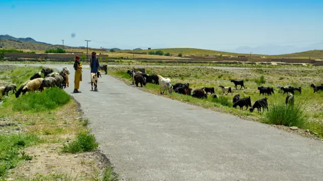 पाकिस्तान