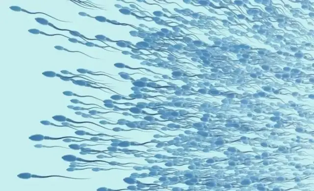 Daraasadaha waxay muujinayaan in ragga aan ka warqabin biyo-baxa xilliga hurdada