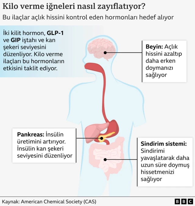 Kilo verme ilaçlarının vücutta nasıl çalıştığını gösteren bir grafik. İllüstrasyonlar ilacın etkilediği üç organı anlatıyor: Beyin, pankreas ve sindirim sistemi