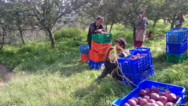 हिमाचल प्रदेश