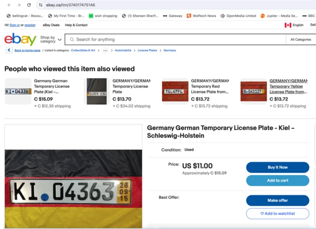 أمثلة للوحات تباع عبر موقع إيباي لهذه اللوحات