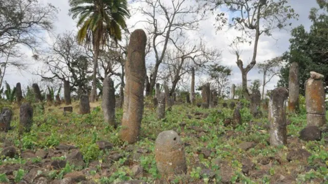 ኣብ ጌዴኦ ብመልክዕ ገጽ ሰብን ብልዕቲ ወዲ ተባዕታይን ዝተቐርጹ ልዕሊ 6 ሽሕ ኣኻውህ ኣለዉ