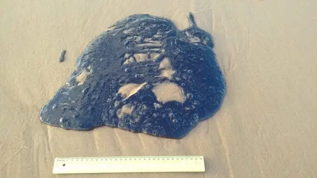 பிரேசில் நாட்டில் மீண்டும் ஒரு சூழலியல் கேடு, கடற்கரை முழுவதும் எண்ணெய் - என்ன நடந்தது?