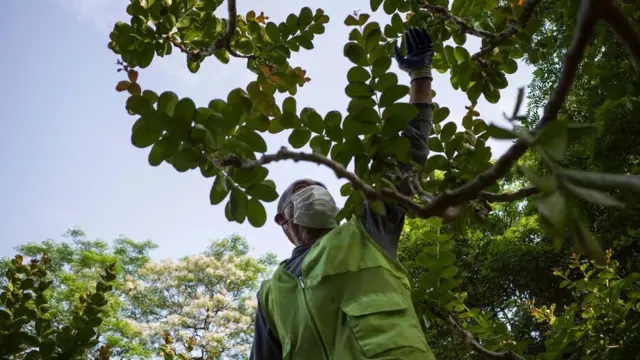 ਕੋਰੋਨਾਵਾਇਰਸ