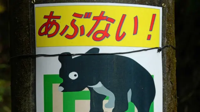 注意熊的警示牌